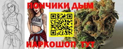 стафф Моздок