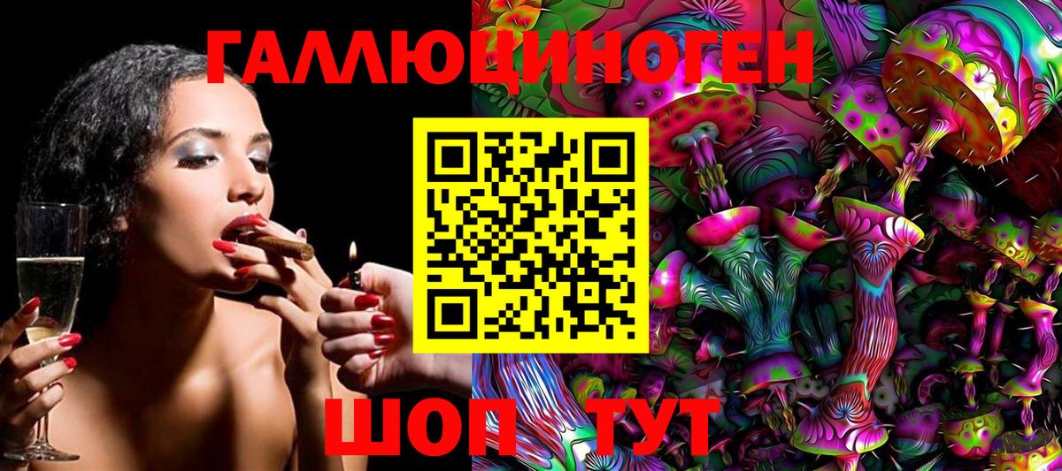 Будённовск  Псилоцибиновые грибы Cubensis  Вход с VPN 